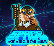 Space Donkey